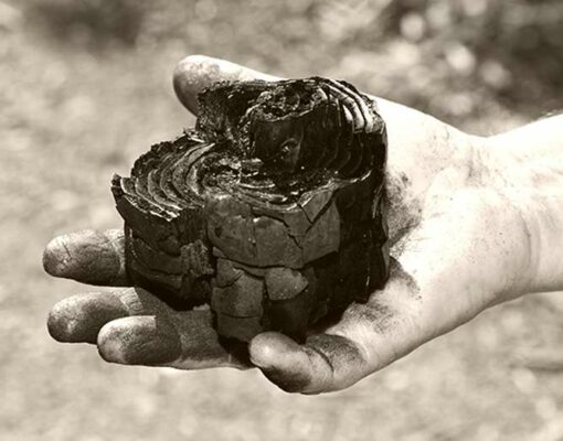 biochar-sepia