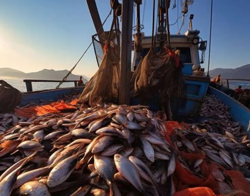 fishery