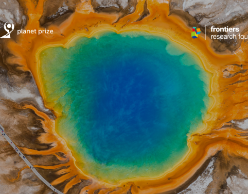 FPP & FRF - Image 2