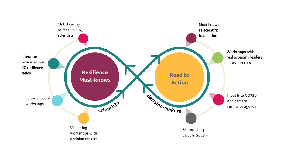 RSMustKnows process